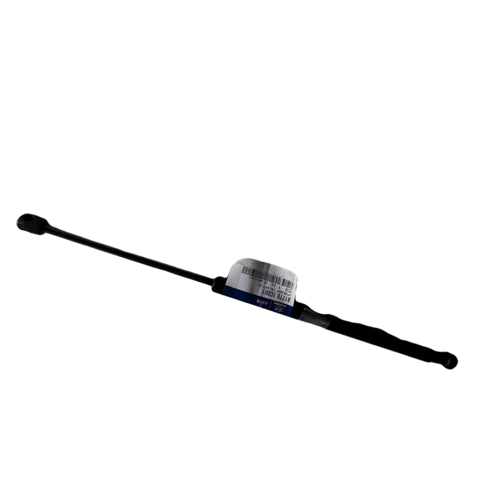 AMORTISOR BAGAJ SOL SAG HYUNDAI GETZ 02>