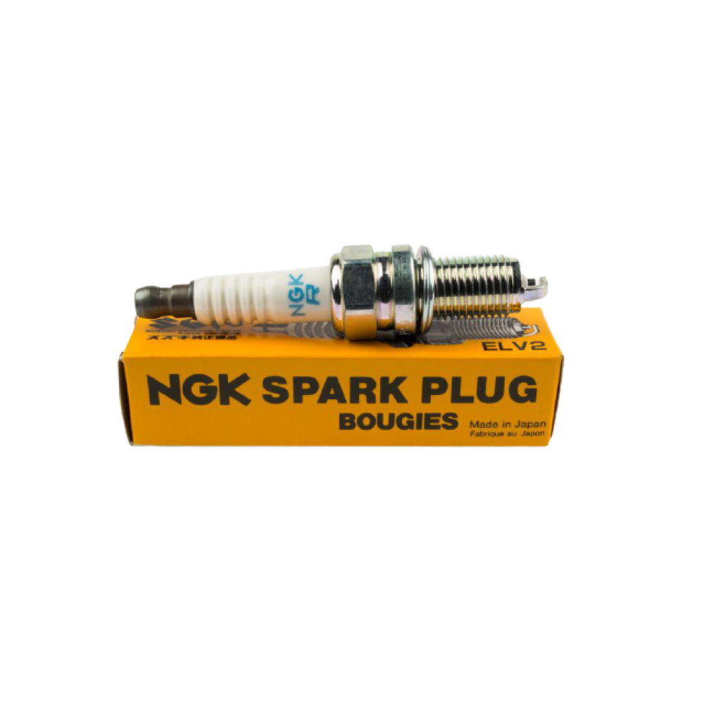 BUJI SUZUKI ALTO Y.M MARINER