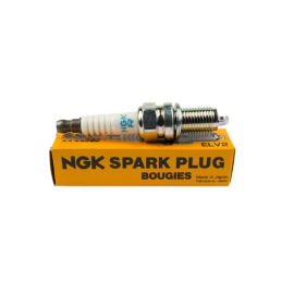 BUJI SUZUKI ALTO Y.M MARINER