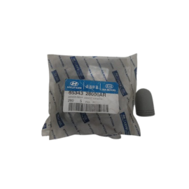 TAVAN TUTMA KOLU VIDA KAPAGI HYUNDAI H100 / KMY