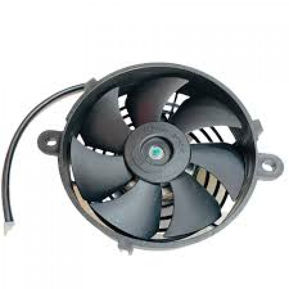 FAN