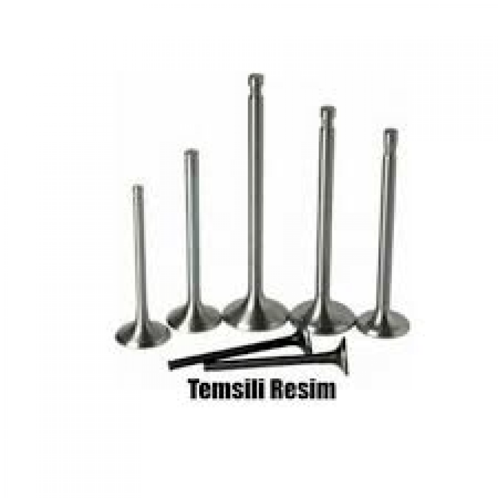SUPAP TAKIM L-300 E.M. L-200 STD (IN-4 ÖLÇÜ:40x8x136.5 / EX-4 ÖLÇÜ:34x8x136.5)
