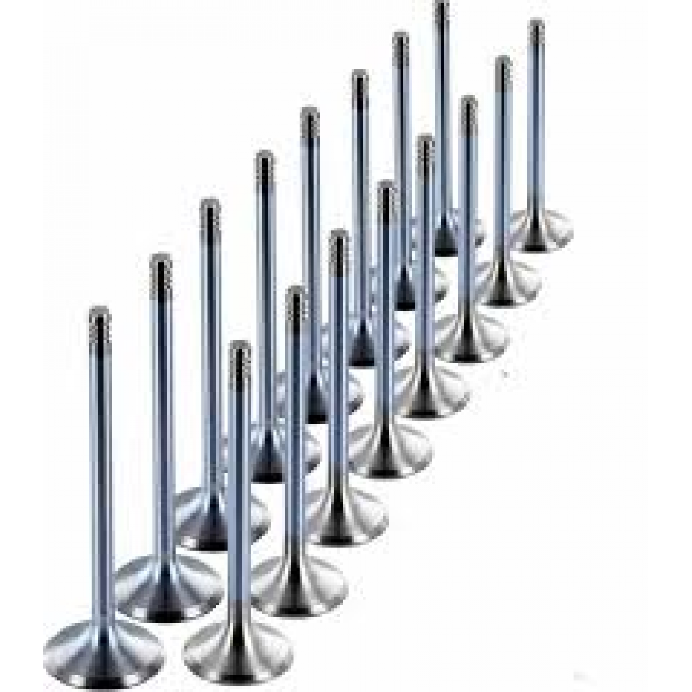 SUPAP TAKIM SUNNY PRIMERA 1.6 16V (IN-8 OLCU:30x5.5x92.3 / EX-8 OCU:24x5.5x92.6)