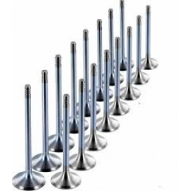 SUPAP TAKIM SUNNY PRIMERA 1.6 16V (IN-8 OLCU:30x5.5x92.3 / EX-8 OCU:24x5.5x92.6)