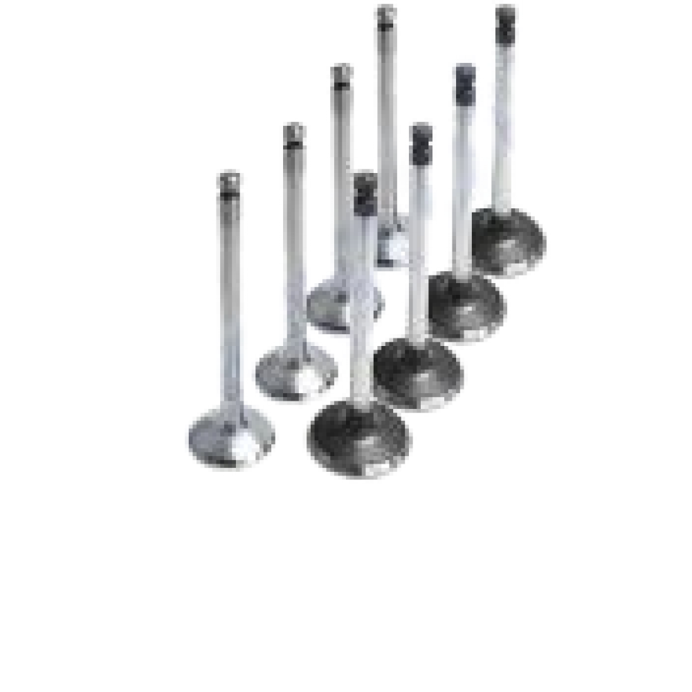 SUPAP TAKIM RIO 16V (IN-8 OLCU:27.8x5.5x96.5 / EX-8 OLCU:24.9x5.5x95.6)